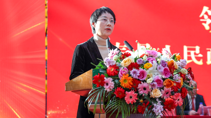 寿县人民政府副县长 王素苗.jpg